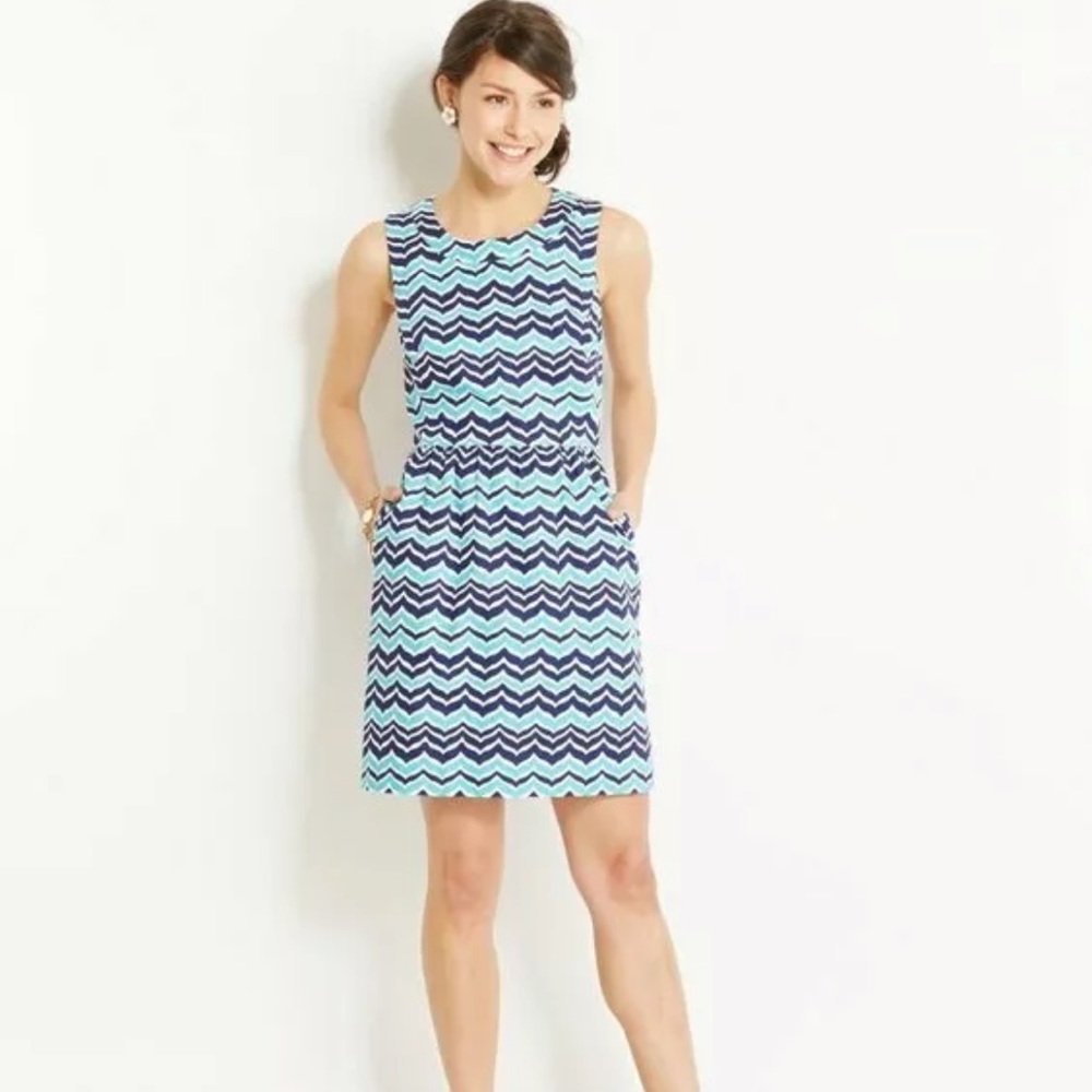 Vineyard Vines whale print chevron dress Sz 6